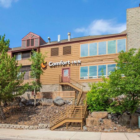 Comfort Inn I-17 & I-40 Flagstaff Exteriör bild