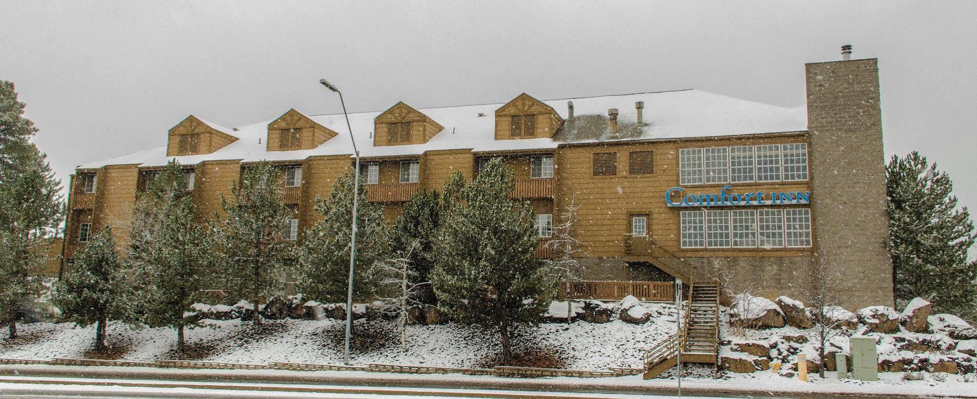 Comfort Inn I-17 & I-40 Flagstaff Exteriör bild